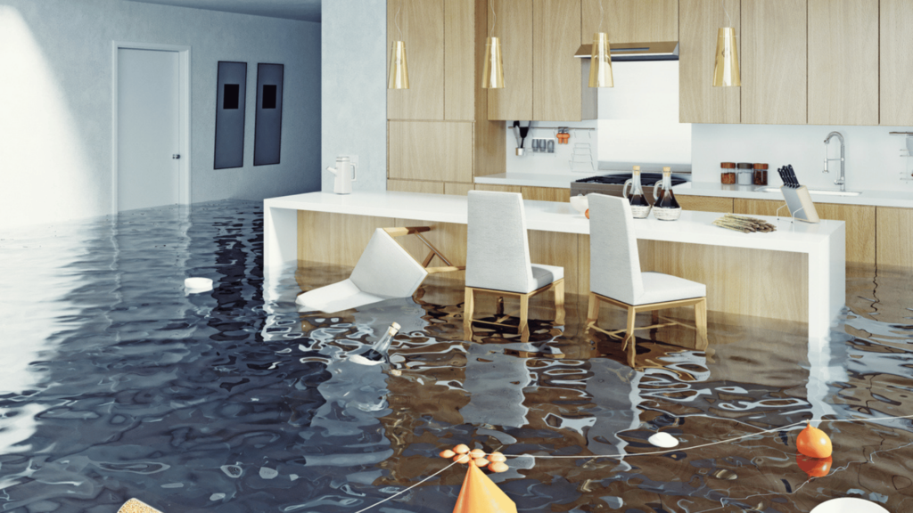 Flood Damage Restoration