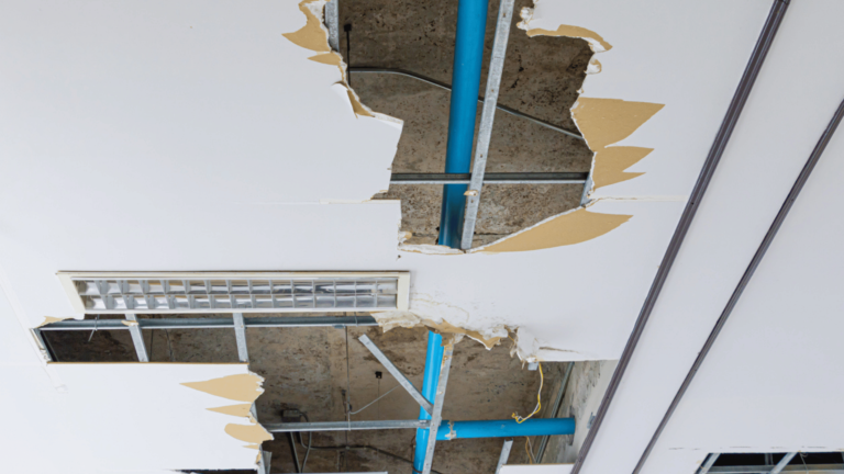 process water damage restoration bellevue